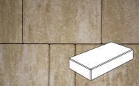 Плитка тротуарная Готика Natur, Картано Гранде, Оливковый, 300*200*60 мм